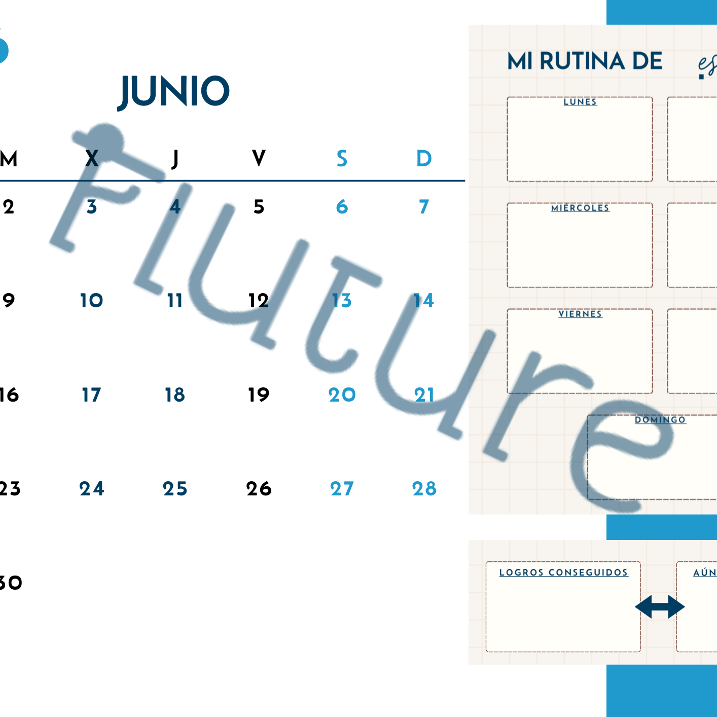 Calendario 2026
